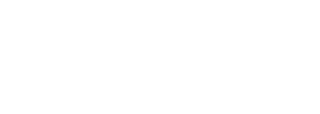 Courier Brasil Express